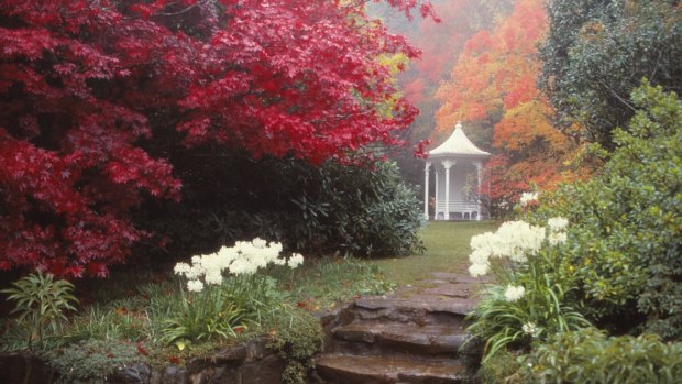 Richard Clough garden at Mount Wilson.