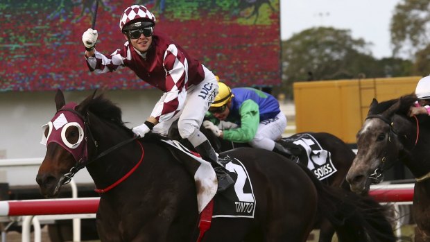 Diamond day: Tim Bell celebrates his Queensland Oaks triumph on Tinto in May.
