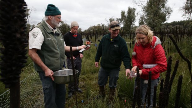Dr Noushka Reiter and volunteers reintroducing orchids to the Lower Glenelg National Park in western Victoria. 
