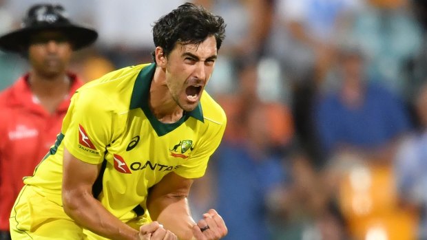 Spearhead: Mitchell Starc celebrates the wicket of Moeen Ali but it proved too little too late.