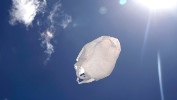 "Degradable" bags break down into microplastics, which then enter the oceans. 