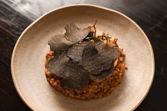 Buckwheat risotto with truffle.