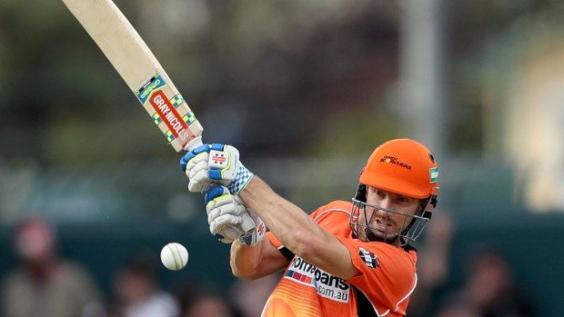 Home semi: Shaun Marsh steered the Perth Scorchers to an easy victory over Hobart, securing them a top-two finish.