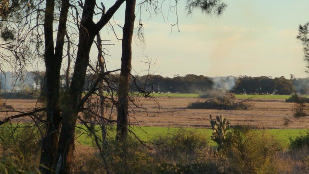 Pictures of burning stacks of native vegetation taken by Office of Environment and Heritage officer Robert Strange in Croppa Creek just before the killing of Glen Turner.