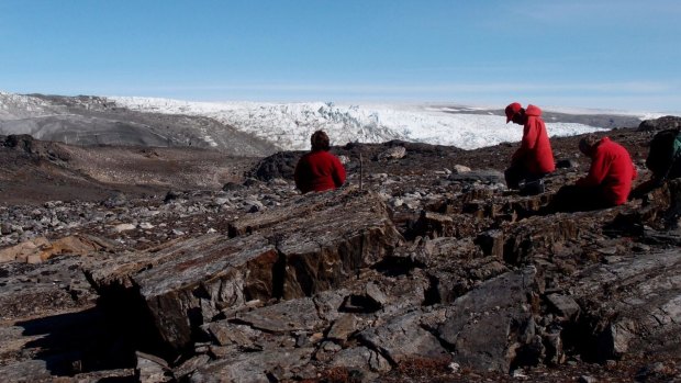 The Isua site in Greenland where Professor Allen Nutman and his colleagues have found the world's oldest fossils: stromatolites dating back 3.7 billion years.