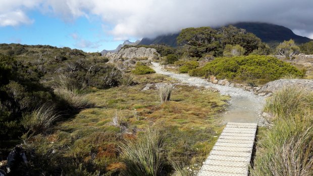 This is a hike in the mountains that doesn't climb mountains.