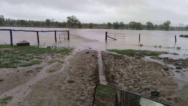 More than 200 millimetres has fallen at Midgee, south of Rockhampton, in less than two days.