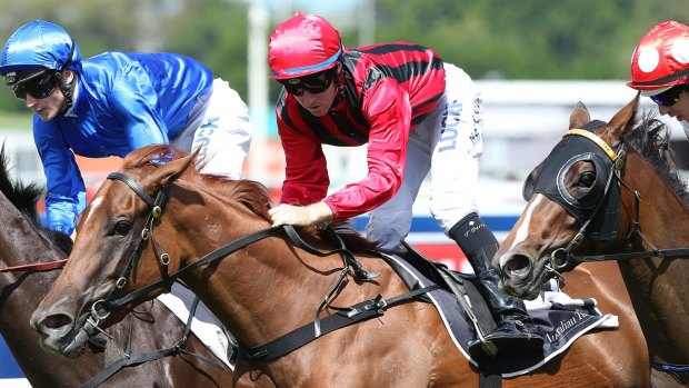 All the talk: Gai Waterhouse filly Speak Fondly shapes as a strong chance in the Golden Rose.