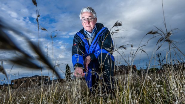 Ecologist Mark McDonnell has warned that Melbourne is at risk of losing more than half its native plants species in the next century.