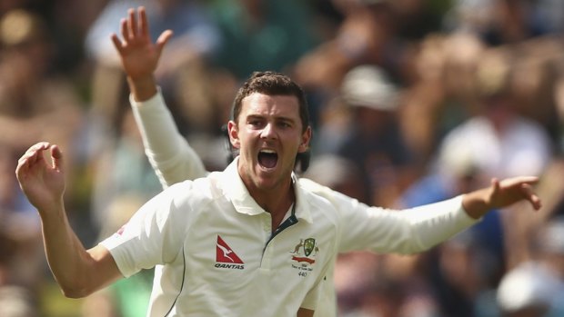 Determined: Josh Hazlewood hopes he will be reunited with Mitchell Starc in the WACA Test next month.