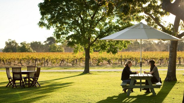 Enjoying vineyards in Rutherglen.