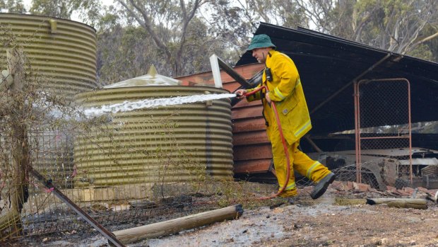 A Country Fire Service volunteer puts out spot fires next to a burnt out shed near One Tree Hill.