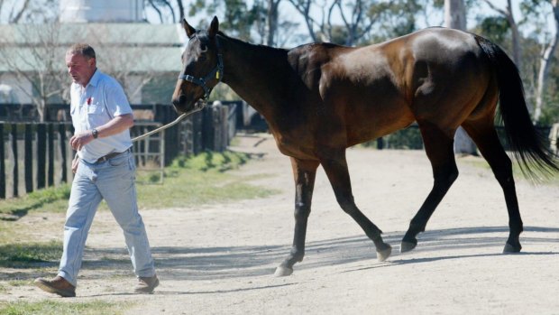 Goulburn trainer Graeme Spackman is being remembered with a race in his honour on Sunday.