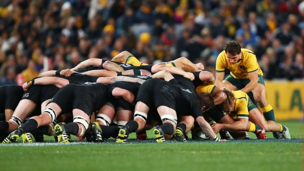 Encouraging: The Wallabies scrum finally showed the potential to compete with the best in the world against the All Blacks in Sydney.
