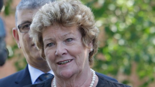 Jillian Skinner is retiring after 23 years in parliament.