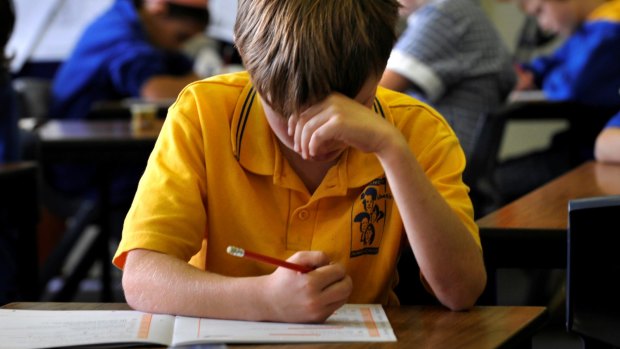 NSW will not take part in robo marking of NAPLAN results next year. 