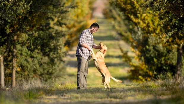 The Truffle Farm owner Jayson Mesman and his truffle dog in training Dingo. 