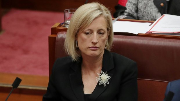 Senator Katy Gallagher's citizenship case will be heard in the High Court next month.