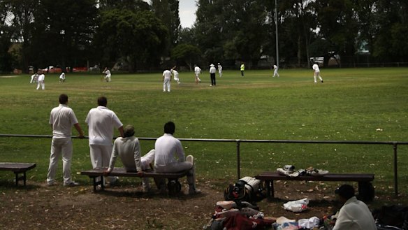 Can grade cricketers be the answer if the pay dispute drags on?