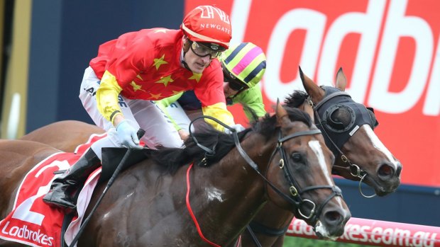 Quality show: Russian Revolution wins the Oakleigh Plate. 