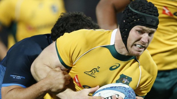 Danger man: Wallabies flanker David Pocock will worry the All Blacks at the breakdown.
