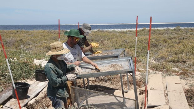 Archaeologists at the seives.