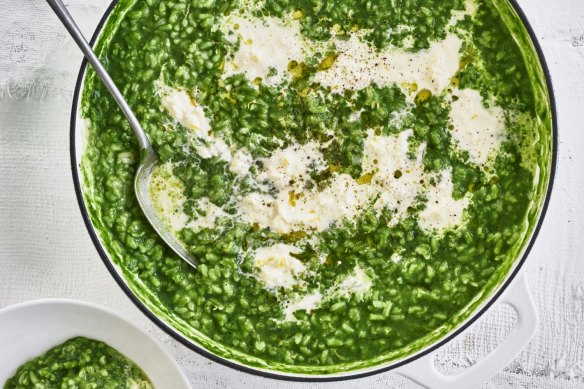 Risotto swirled with spinach puree and topped with creamy stracciatella.