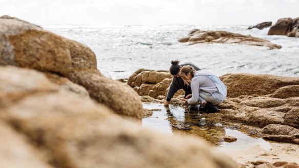 Chefs Analiese Gregory and Jo Barrett foraging for ingredients on Flinders Island.