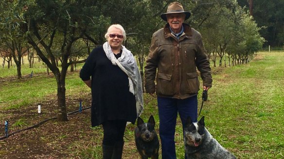 Barbara and Ted Smith at Yelverton Truffles, with Jet and Belle.