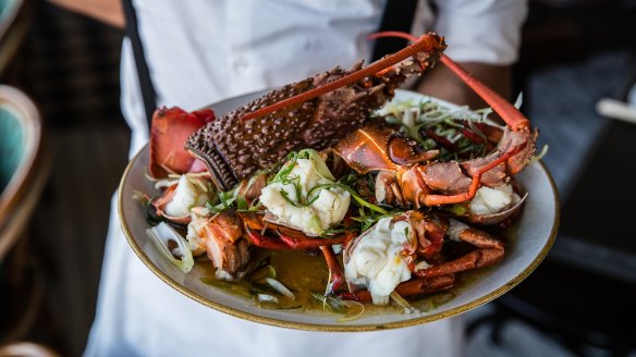 Local Narooma lobster at Queen Chow.