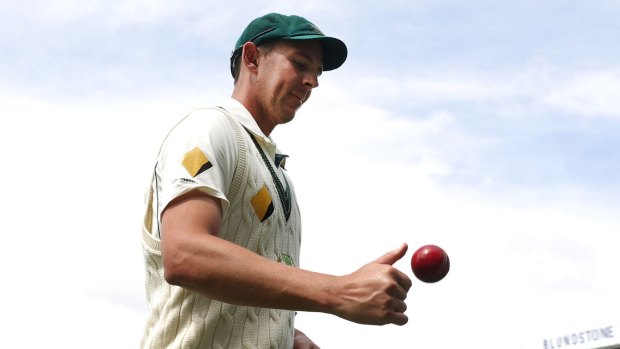 Finding his rhythm: Josh Hazlewood leaves the ground after taking six wickets.