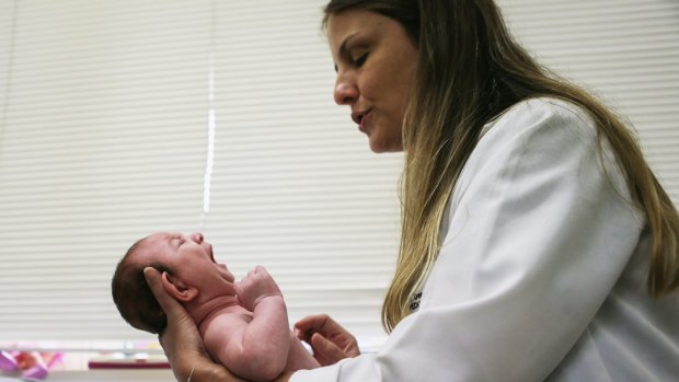 Dr Vanessa Van Der Linden Mota, the neuro-pediatrician who first recognised the microcephaly crisis in Brazil, examines a two-month-old baby last week in Recife, Brazil.