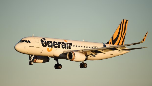 Tigerair, which begins flights between Canberra and Brisbane on Thursday.