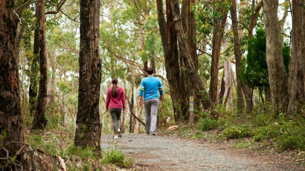 A walk through the Adelaide Hills, South Australia. 