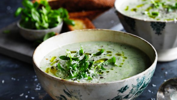 Cream of fennel and parmesan soup.