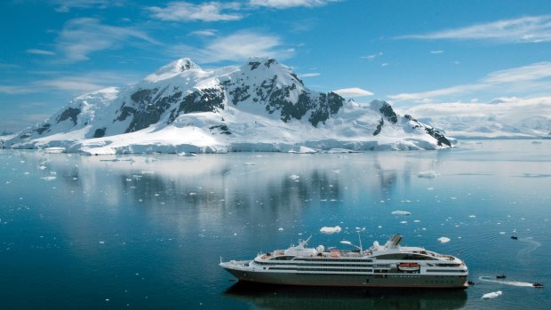Expedition-style cruising: Ponant's Le Boreal meanders through Antarctic waters.