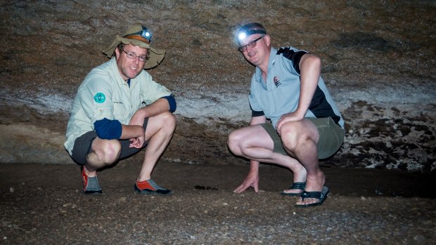 Tim and Bruce Ronning inspect droppings deep in a cave at Lake Burrinjuck.