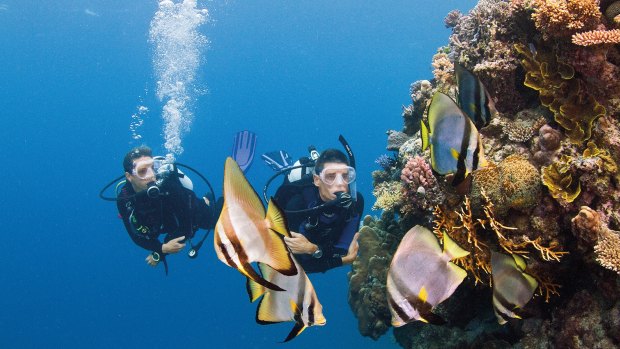 Gone fishing: SCUBA diving offers some close encounters with the locals.