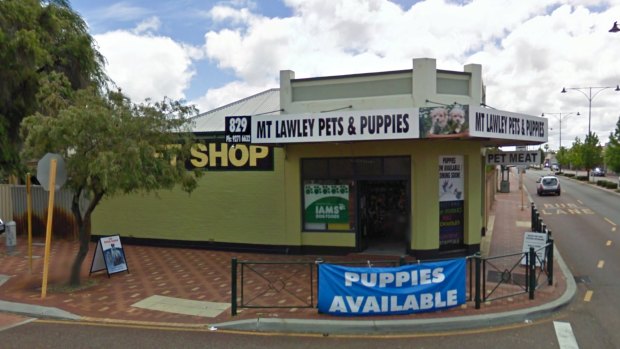 Mt Lawley Pets & Puppies in Inglewood.