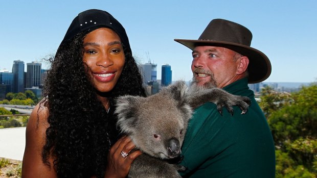 Serena Williams meets Sunshine the koala with handler Steve Gillam from Caversham Wildlife Park at Kings Park.