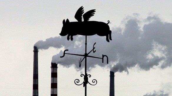 It's high time governments, including in NSW, introduced planning laws that were linked to climate goals, EDO NSW says.