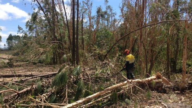 Queensland Parks and Wildlife Service staff assisting with recovery work at Byfield.