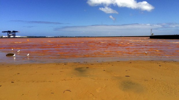 Very Poor: Foreshores Beach at Port Botany, where the water turned bright orange last year.