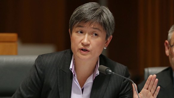 "This sort of throws up another broader systemic issue": Labor senator Penny Wong.  