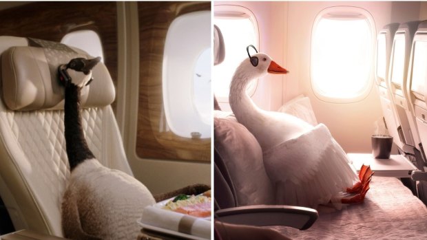 Birds of a feather: Left, Emirates' Gerry the Goose. RIght, Air New Zealand's Dave, voiced by Bryan Brown.