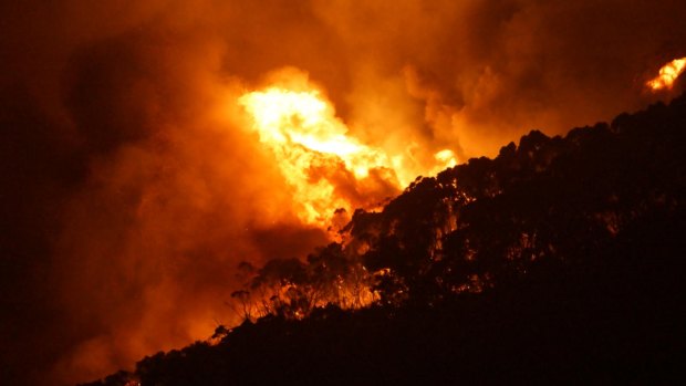 People along the Great Ocean Road were forced to flee their homes last Christmas Day, as bushfire ravaged Wye River.