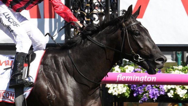 Two-state Guineas chance Prized Icon.