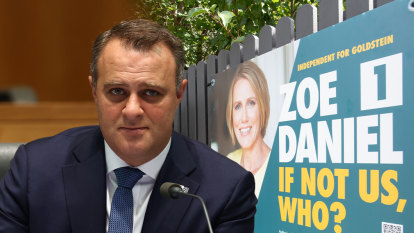 Calls, texts and a spreadsheet: Tim Wilson’s campaign to stop Zoe Daniel signs