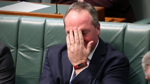 Deputy Prime Minister Barnaby Joyce during question time.