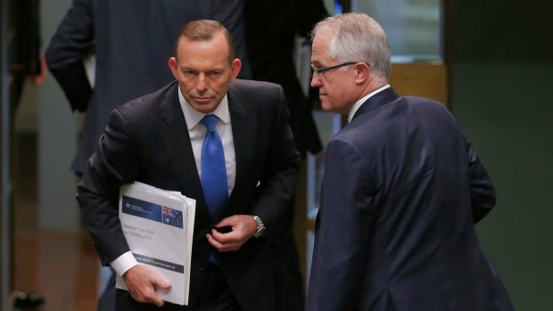 Tony Abbott would have lost his Sydney seat had Malcolm Turnbull not intervened.